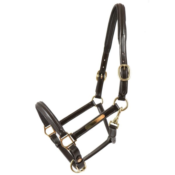 Sahrendorf halter brown/brass XFULL