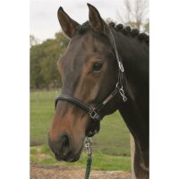 Schwaiganger halter black/silver FOAL