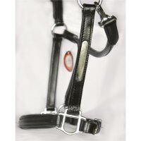Schwaiganger halter black/silver FOAL