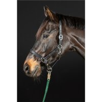 Halfter Schwaiganger schwarz/silber FULL