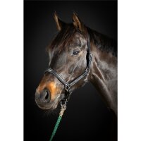 Halfter Schwaiganger schwarz/silber FULL