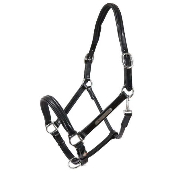 Halfter Schwaiganger schwarz/silber PONY