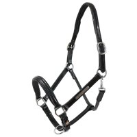 Halfter Schwaiganger schwarz/silber XFULL