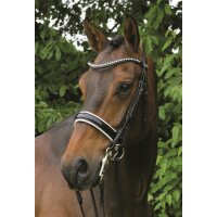 Kandare Hamburg LACK schwarz/silber COB