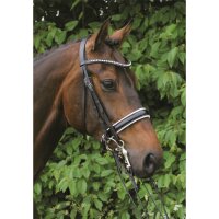 Kandare Hamburg LACK schwarz/silber COB