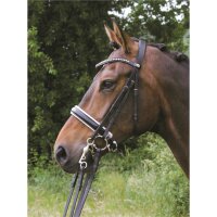 Stang en Trens Hoofdstel Hamburg LACK zwart/zilver XFULL