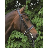 Kandare Hamburg schwarz/silber PONY