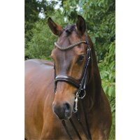 Kandare Krusemark schwarz/braun messing LACK PONY