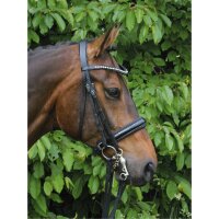 Kandare Wiesbaden LACK COB