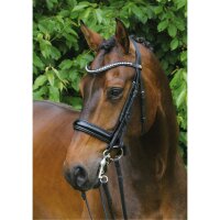 Kandare Wiesbaden LACK COB