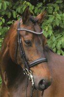 Stang en Trens Hoofdstel Wiesbaden zwart/zilver FULL