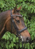 Stang en Trens Hoofdstel Wiesbaden zwart/zilver FULL