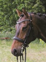 Kandare Wiesbaden schwarz/silber PONY