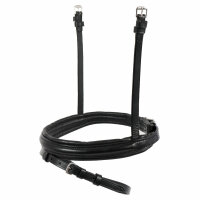 Neusriem standaard Engels gecombineerd zwart/zilver PONY