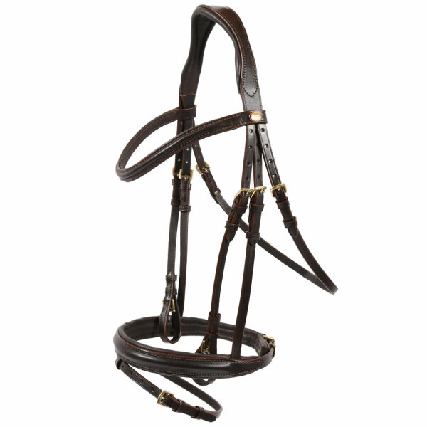 Bad Harzburg bridle brown/brass COB
