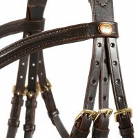 Bad Harzburg bridle brown/brass COB