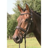 Trense Bad Harzburg braun/messing PONY