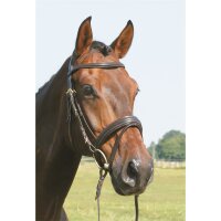 Trense Bad Harzburg braun/messing PONY