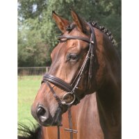 Trense Bad Harzburg braun/silber COB
