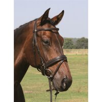 Trense Bad Harzburg braun/silber COB