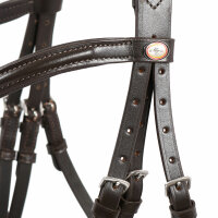 Trense Bad Harzburg braun/silber COB