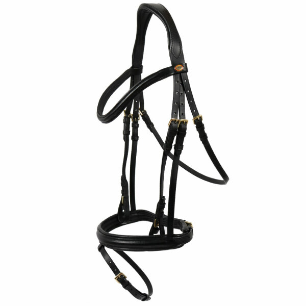 Bad Harzburg bridle black/brass COB