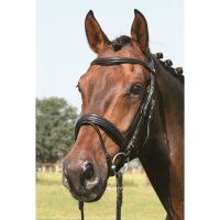 Bad Harzburg bridle black/brass FULL