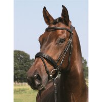 Trense Bad Harzburg schwarz/messing PONY