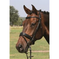 Trense Bad Harzburg schwarz/silber PONY