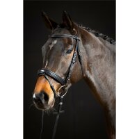 Trense Bad Harzburg schwarz/silber PONY