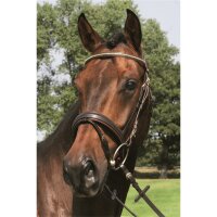 Trense Bredeneek braun/messing COB