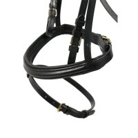 Trense Bredeneek schwarz/messing COB