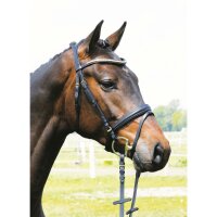 Trense Bredeneek schwarz/messing COB