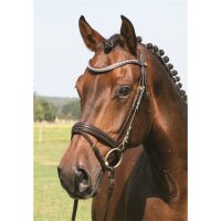 Trense Mechtersen braun/messing PONY