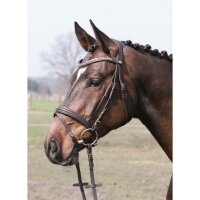 Mechtersen bridle brown/silver FULL