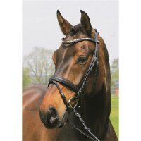 Trense Mechtersen schwarz/silber PONY