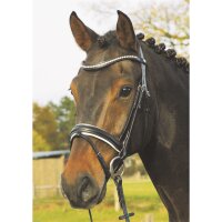 Trense Wiesbaden schwarz/silberne Kristalle weiß unterlegt XFULL