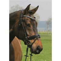 Trense Hagen schwedisch kombiniert schwarz/silber schwarz unterlegt Lack Extra Warmblut