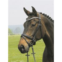 Trense Valluhn schwarz/silber schwedisches Reithalfter PONY