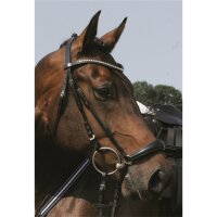 Trense Valluhn schwarz/silber hannoversches Reithalfter COB