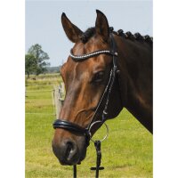 Trense Valluhn schwarz/silber hannoversches Reithalfter schwarz unterlegt LACK PONY