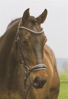 Trense Valluhn schwarz/silber hannoversches Reithalfter wei&szlig; unterlegt LACK COB