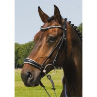 Trense Valluhn schwarz/silber hannoversches Reithalfter wei&szlig; unterlegt PONY