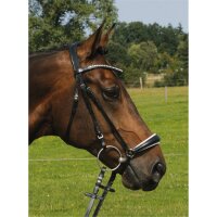 Trense Valluhn schwarz/silber hannoversches Reithalfter wei&szlig; unterlegt PONY