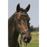 Trense Valluhn schwarz/silber hannoversches Reithalfter wei&szlig; unterlegt PONY