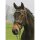 Valluhn bridle black/silver English noseband COB