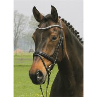 Trense Valluhn schwarz/silber englisches Reithalfter FULL