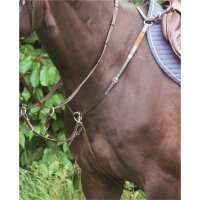 Vorderzeug Bad Harzburg braun/silber PONY