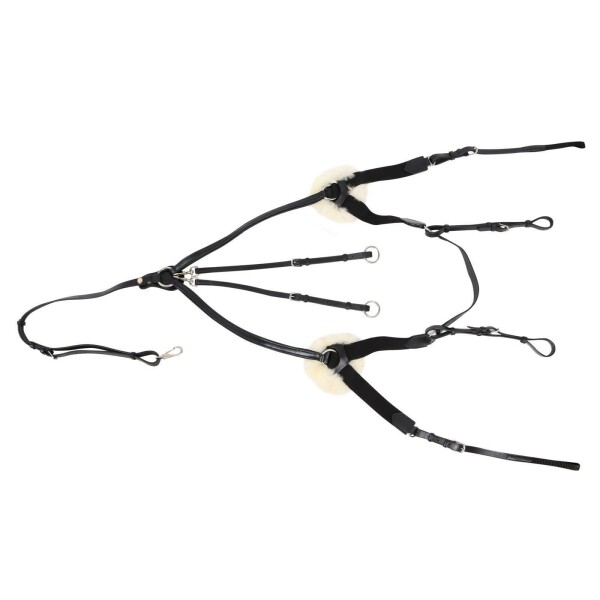 Vorderzeug Marbach 5-Punkt schwarz/silber COB