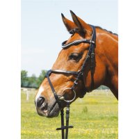 Trense Valluhn schwarz/silber mexikanisch COB